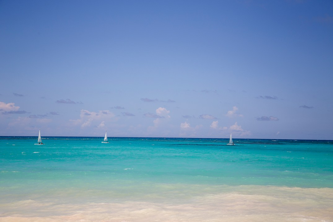 mg-308-copia-copia-copia