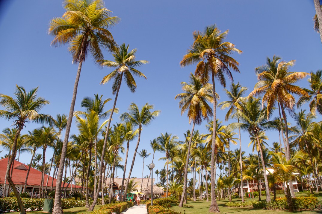 mg-312-copia-copia-copia