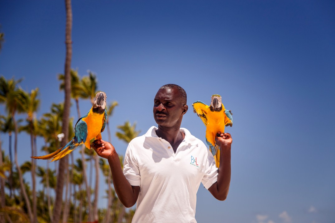 mg-347-copia-copia-copia