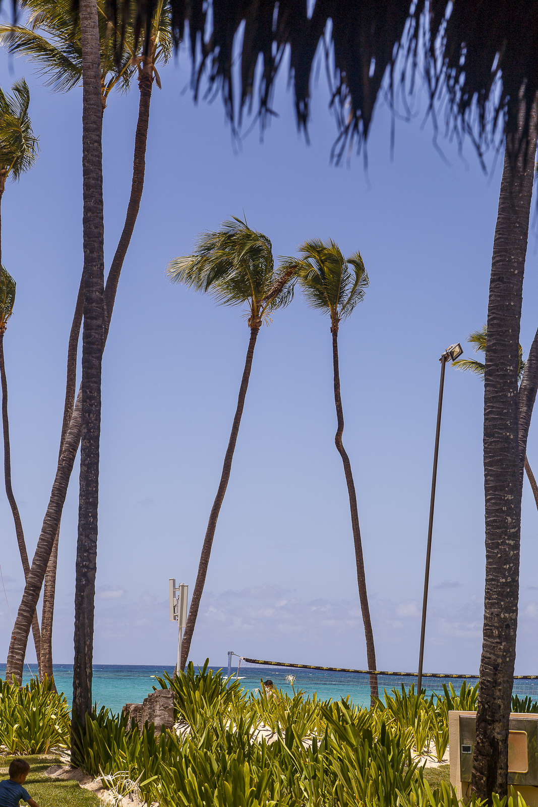 mg-357-copia-copia-copia