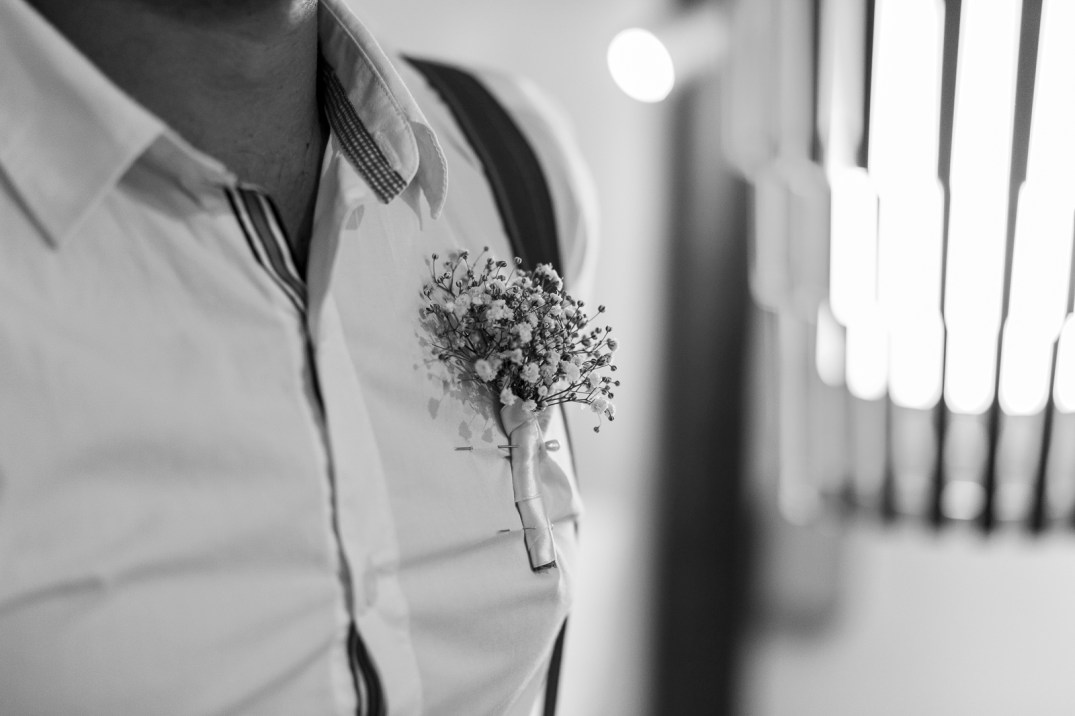 mg-486_1-copia-copia-copia